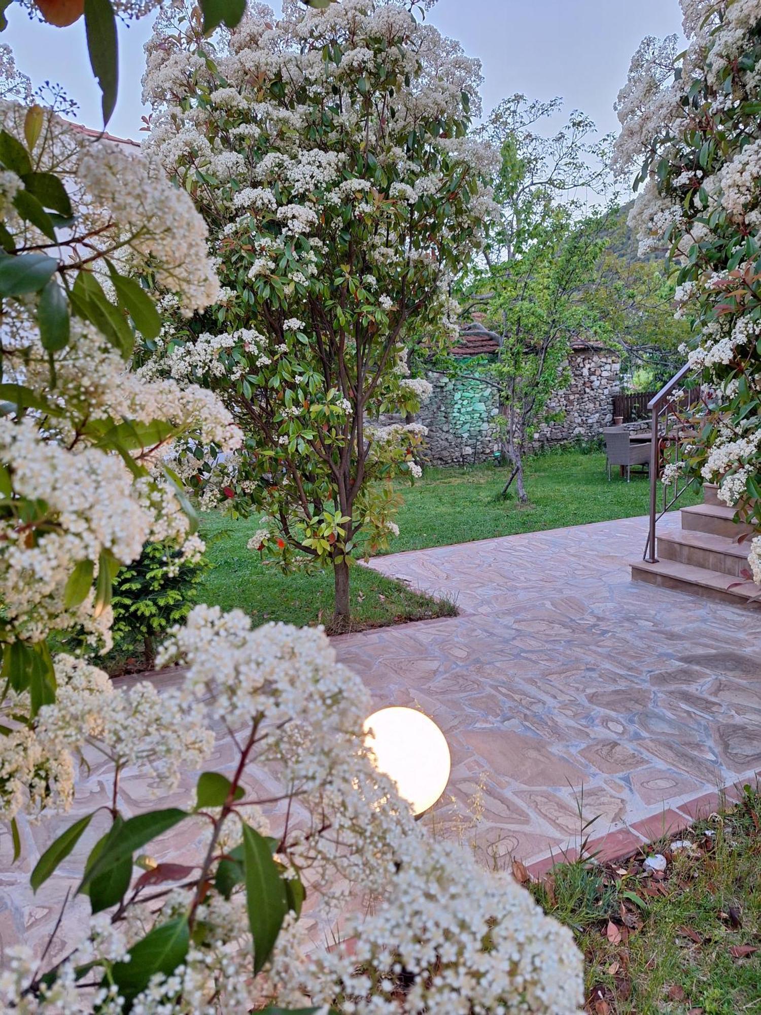 Country House On Mount Olympus Karia  외부 사진